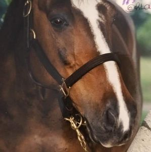 Meet your Posher, Terri